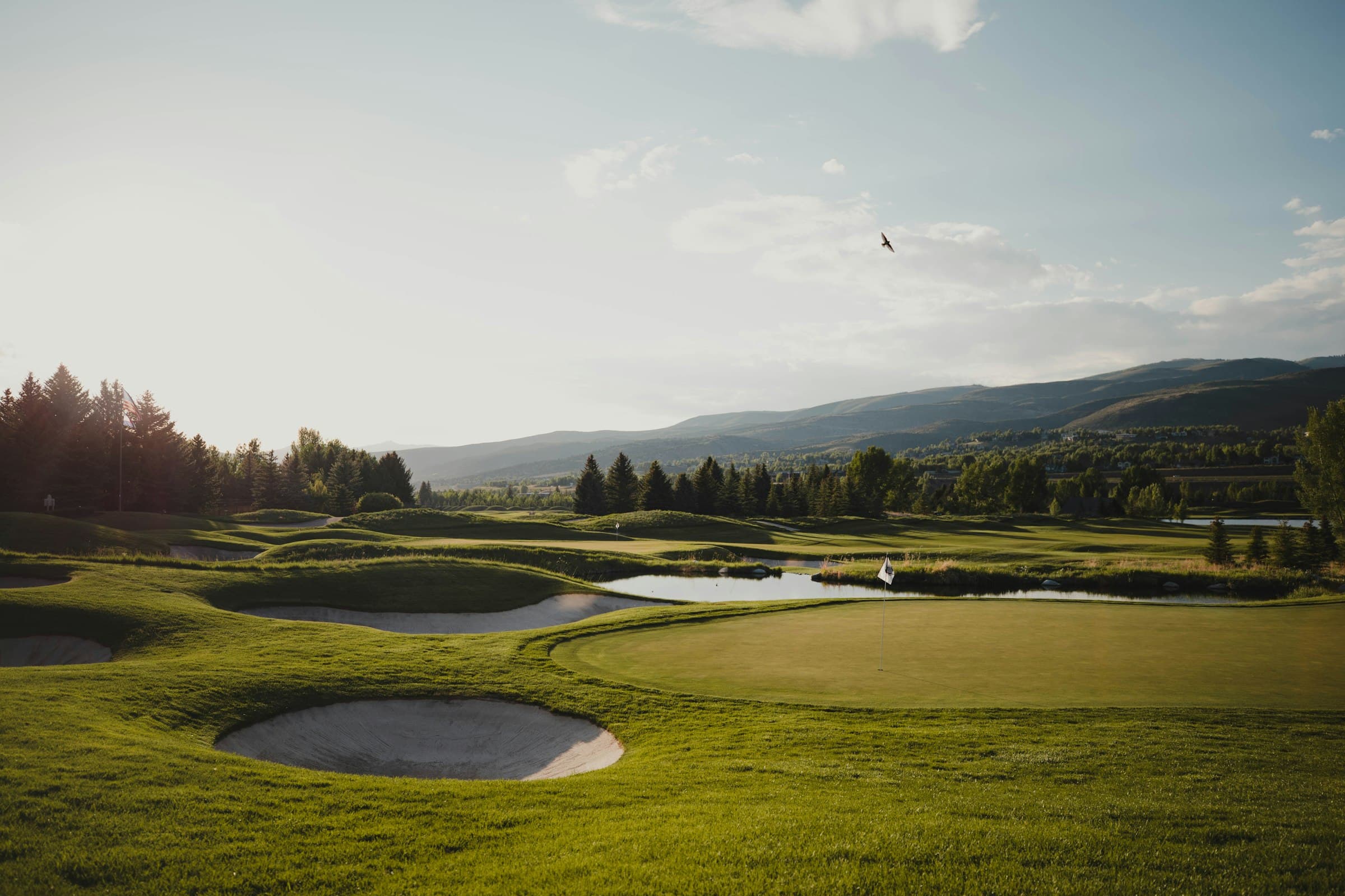 Mountain golf course at last light, a bird crossing the sky